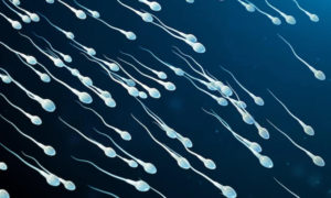 Sperm Kalitesini Düşüren Alışkanlıklar