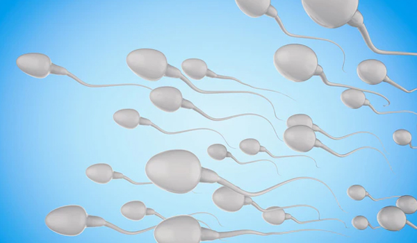 Sperm Hareket Azlığı Nedir?